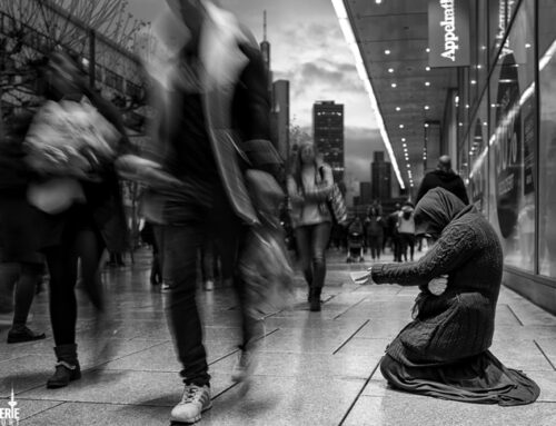 Streets of Frankfurt Portfolio online