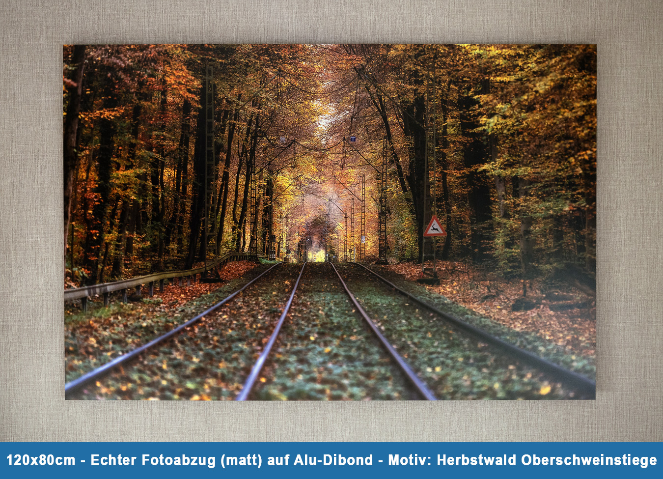 Herbstwald Oberschweinstiege