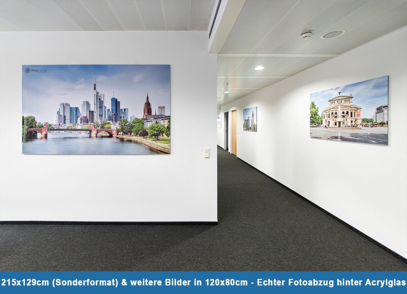 PrimePartners Acrylglas Sonderformat