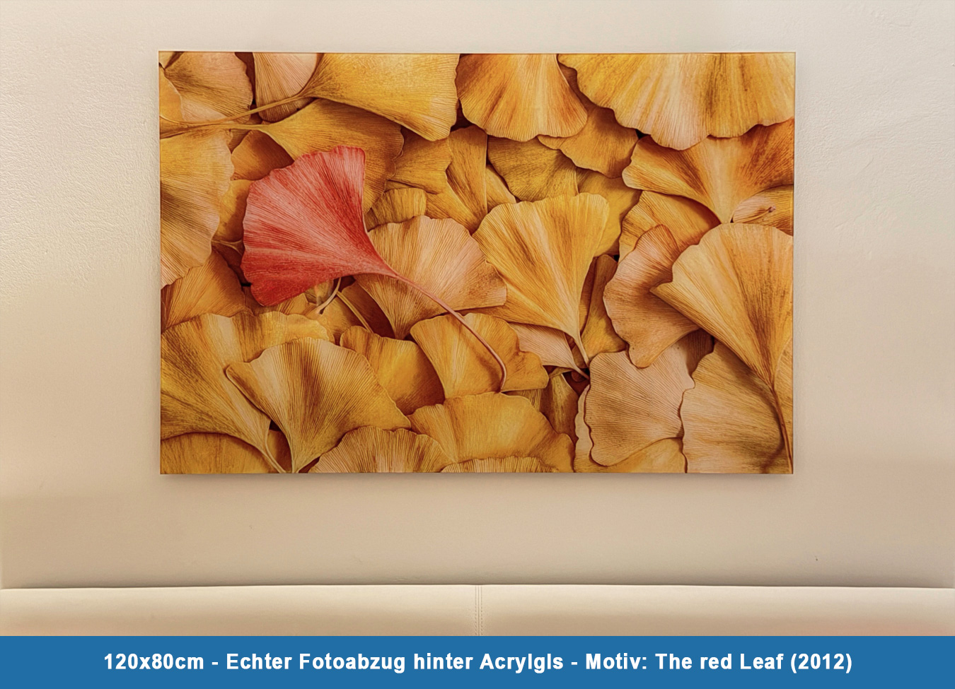 The red Leaf Acrylglas