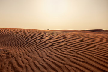 Fotos National & International